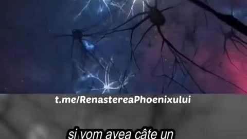 Viitorul pe care vor să-l construiască psihopații de la putere