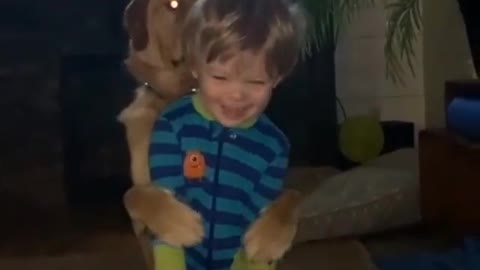 Dog hugs kid back