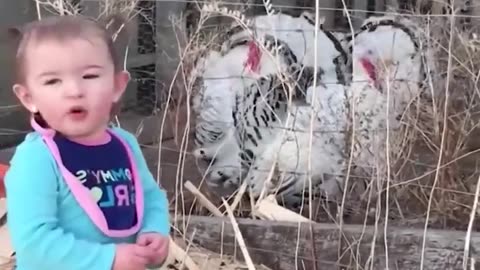 Funny Animal Pranks Babies Funny Animals Prank Babies - Cutest Babies Videos
