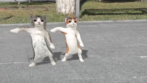 Dancing cats