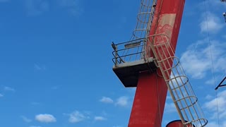 Peregrine Falcon on crane at work