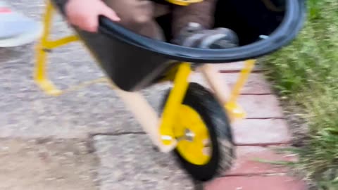 Two year old Enjoys Wheelbarrow