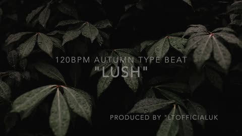 (FREE) 120BPM "LUSH" AUTUMN TYPE BEAT UK X NYC X US INSTRUMENTAL 2022 2023