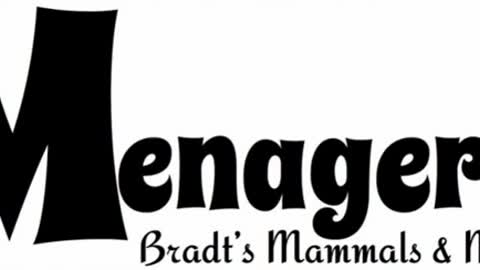Bradts Menagerie - Audio Only