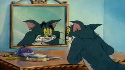 Tom and Jerry 2018 _ Kitty Tom _ Cartoon For Kids