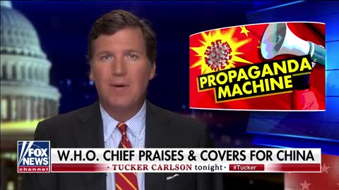 Tucker Carlson on WHO and the Chinese Communist Party | The Washington Pundit