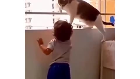 Funny animals 😆 funniest cats😹 and dogs 🐶video 😂🤣