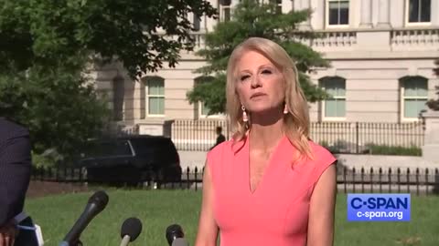 Kellyanne Conway torches WH reporter