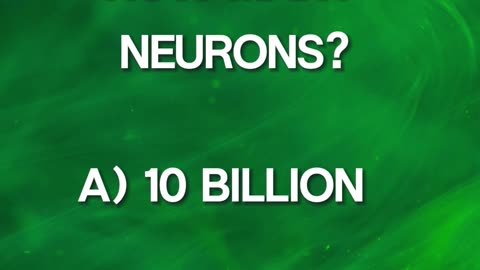 ❓Can You Answer The Question❓#17