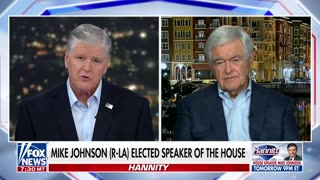 Newt Gingrich: We need a greater ability for citizens to protect themselves