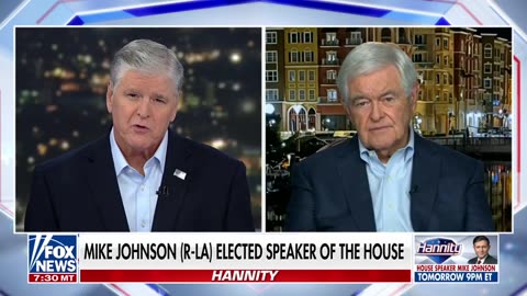 Newt Gingrich: We need a greater ability for citizens to protect themselves