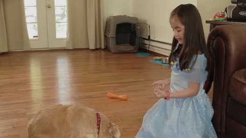 How To Teach A Child To Give A Treat To A Dog?
