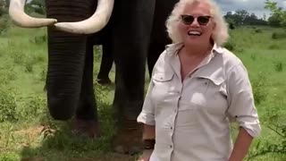 Adorable Elephant Pranks Human