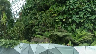 Gardens by the Bay Cloud forest entrance