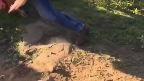 Four wheeler goes off wooden pallets into shirtless guys