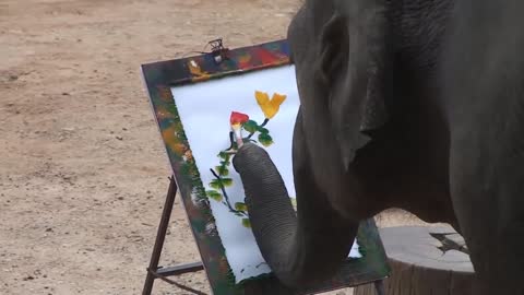 The clever elephant draws the flower with its trunk