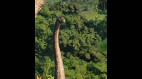 Going back to jurrasic era : Brachiosaurus 🦕 🦠🦖🦖