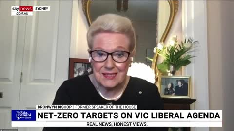 Victorian Liberals 'lurch further left' by adopting 'bold' net zero policies