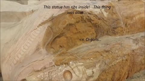 Egyptian statue was actually alive once - Excerpt from mudfossil university