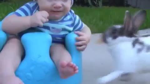 Rabbit is stealing kid's cookie