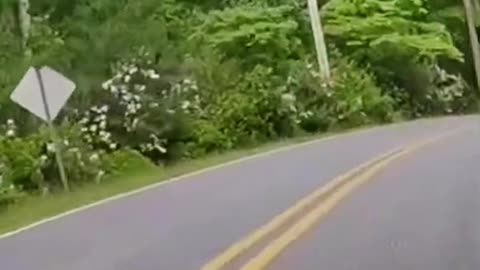 Deer strike (almost) on a motorcycle
