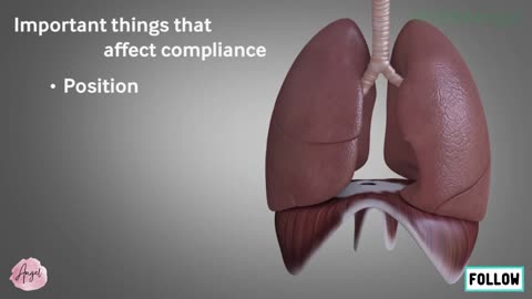 Basics of ventilation_ Compliance and pressure changes in the lungs