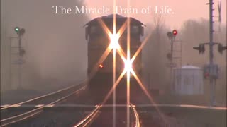 I had to share this because it makes one Think. Miracle Train of Life!