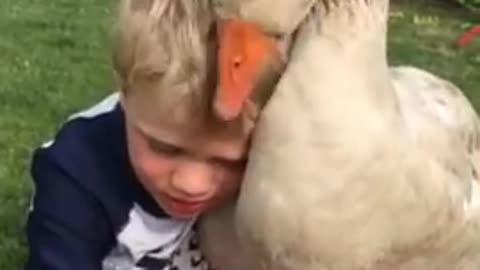 A boy and his happy pet goose