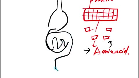 4기말위암환자의선택, 1-3,반룡인수한의원, 강남구청역, 한태영원장님, 사상의학