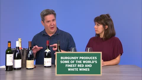 Wine Expert Teaches Wine Idiot about French Wine | Wine School