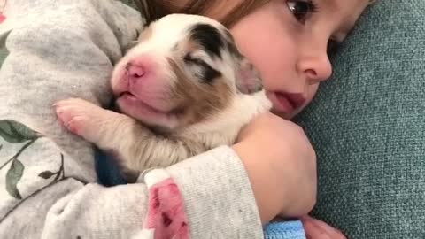 Little Girl Preciously Holds Her Newborn Puppy