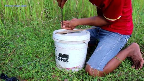 Simple Feral Cat Trap - Feral Cat Trap Using Plastic Container