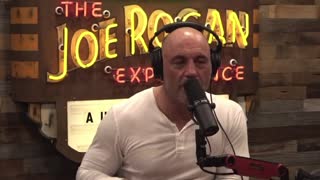 Joe Rogan questions why the Matt Walsh “What is a Woman?” Documentary only had 4 critic reviews