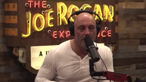 Joe Rogan questions why the Matt Walsh “What is a Woman?” Documentary only had 4 critic reviews