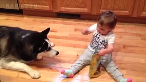 Adorables bébés jouant avec des chiens et des chats - Compilation de bébés drôles 2018