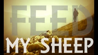 The Lion's Table: Feed my Sheep