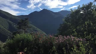 Birds, Nature and Mountains