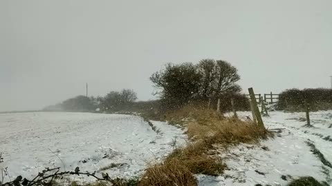 Cleadon Hill Snow 11/02/21