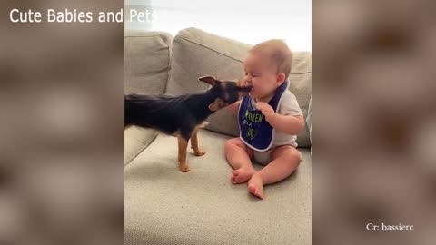 Adorable Puppies Love Babies Compilation _heart_eyes_ A Cute Puppy _dog_and Baby_baby_ Videos