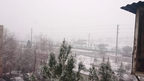 Snow in Kabul