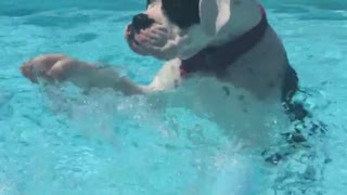 Boxer aprende con éxito a usar un flotador