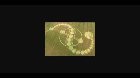 Kornkreis crop circle von 2011 Analyse Schlange 33 Wissenschaft Ufologie Bibel