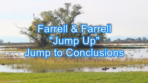 Farrell & Farrell - Jump Up #353