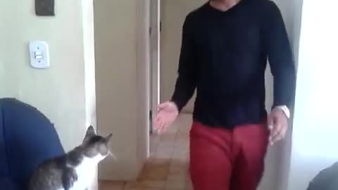 High Five Cute Kitty