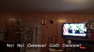 Max the Parrot Doesn't Like President Trump Interrupting His Judge Judy!!