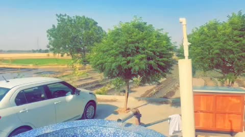 Pind life ❤️ pool