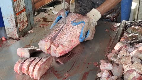 Incredible Big Bridget Fish Cutting By Expert Cutter In Market