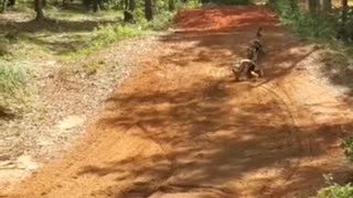 Teaching kiddos to ride ends in WIPEOUT #motocross