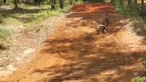 Teaching kiddos to ride ends in WIPEOUT #motocross
