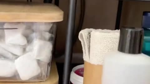 Under the sink organization